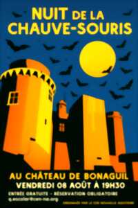 photo Nuit de la chauve-souris