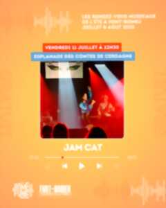 photo LES ROMEUFONIES : CONCERT JAM CAT