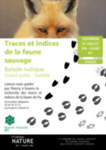 photo BALADE LUDIQUE : TRACES ET INDICES DE LA FAUNE SAUVAGE