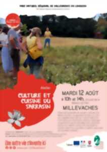 photo Culture et cuisine au sarrasin