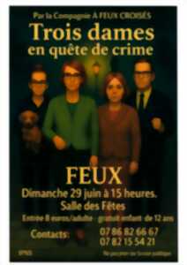 photo Théâtre : Trois dames en quête de crime
