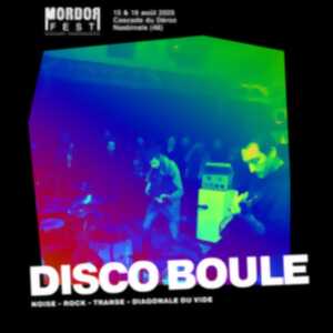 photo DISCO BOULE EN CONCERT