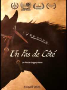 photo CINÉ DEBAT - UN PAS DE CÔTÉ