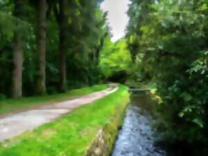 photo ESCALES DU CANAL DU MIDI