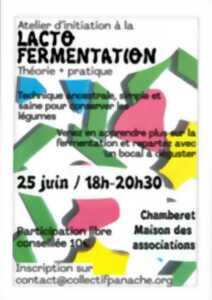 photo Atelier d'initiation à la lacto fermentation