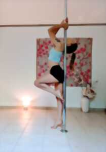 photo INITIATION POLE DANCE & YOGA