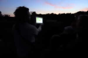 photo Balade nocturne