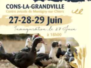 photo Exposition avicole