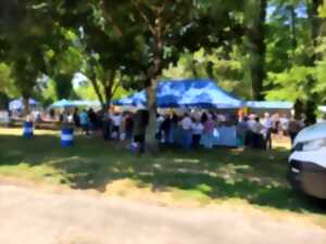 photo Fête des associations et des battages