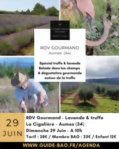 photo RDV GOURMAND - LAVANDE ET TRUFFE D'ÉTÉ
