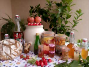 photo Ateliers fermentation et probiotiques comme à la maison