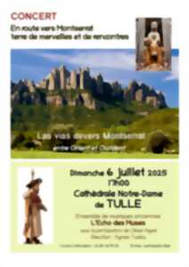 photo Concert