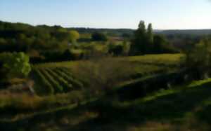 photo DOMAINE DE GRIMARDY | Découverte marche nordique et dégustation