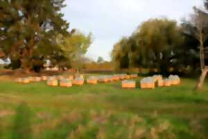 photo Portes ouverte de Mella Facimus