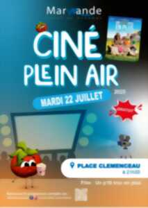 photo Cinéma en plein air 