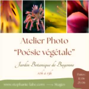 photo Atelier photo poésie végétale
