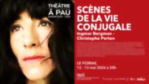 photo Théâtre à Pau - Scènes de la vie conjugale