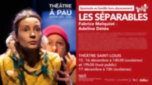 photo Théâtre à Pau - Les séparables (spectacle famille)