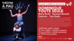 photo Théâtre à Pau - Dominique toute seule