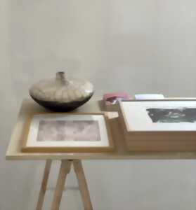 photo Nouvel accrochage rudéral atelier | galerie - Limoges