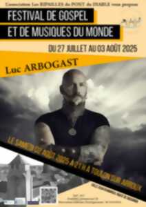 photo Concert Luc Arbogast