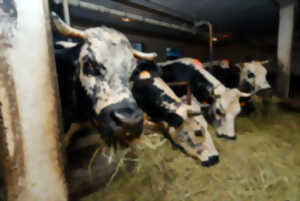 photo Des marcaires aux fermiers aubergistes