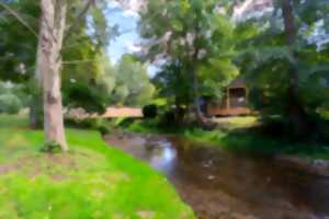 photo Soin duo en pleine nature
