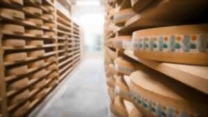 photo Visite d'une fruitière à comté
