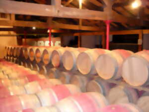photo Visite guidée des chais | Domaine du Haut Pécharmant