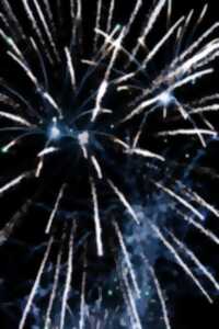 photo Feu d'artifice des fêtes de Tyrosse