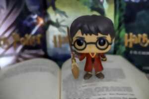 photo Soirée Harry Potter