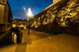 photo Les nocturnes à Pau - La petite histoire de l'eau