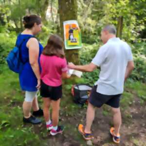 photo Mais ou se cache le trésor du forestier ?