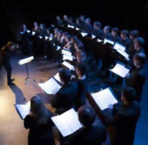 photo Festival des Abbayes : concert Warum ?