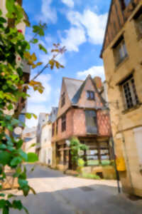photo Visites guidées de la ville de Chinon
