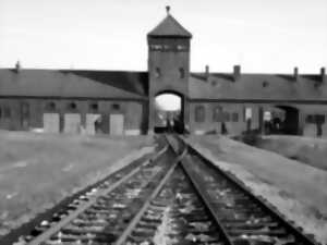 photo LA DÉPORTATION DANS LES CAMPS NAZIS