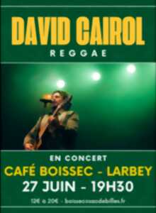 photo Concert - David Cairol (Reggae)