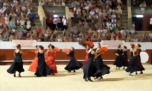 photo Parenthèse Flamenca aux Arènes