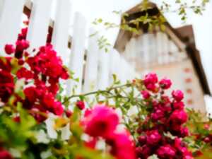 photo Remise des prix : Concours des Maisons et Balcons Fleuris