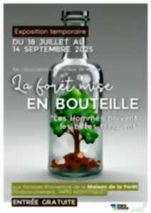 photo Exposition temporaire « la forêt en bouteille »