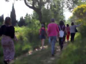 photo BALADE SENSORIELLE