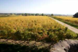 photo Domaine du haut Pécharmant | Dégustation gourmande