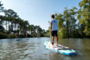 photo Balade commentée en paddle sur le courant