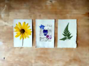 photo Atelier herbier papier, au musée gallo-romain