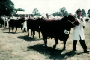photo Comice Agricole