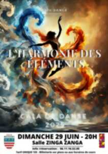 photo GALA DE DANSE 2025 - MOUV'DANSE : L'HARMONIE DES ÉLÈMENTS