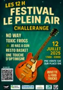 photo Festival le plein air : 12h de musique