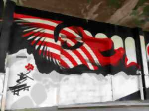 photo Les incontournables de Pau : Pau et le street art
