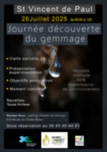photo Journée découverte gemmage