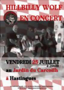 photo Concert Hillbilly Wolf